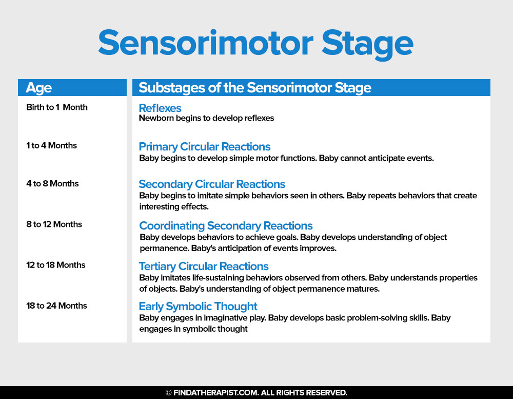 Sensorimotor Stage