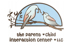 The Parent-Child Interaction Center LLC