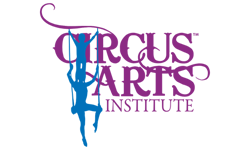 Circus Arts Institute
