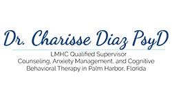Tampa Bay Area Counseling LLC