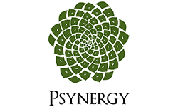 Psynergy Psychological Associates
